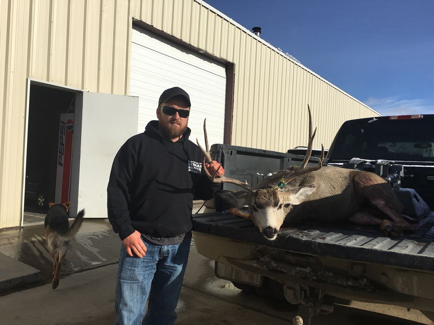 Hunting trophy